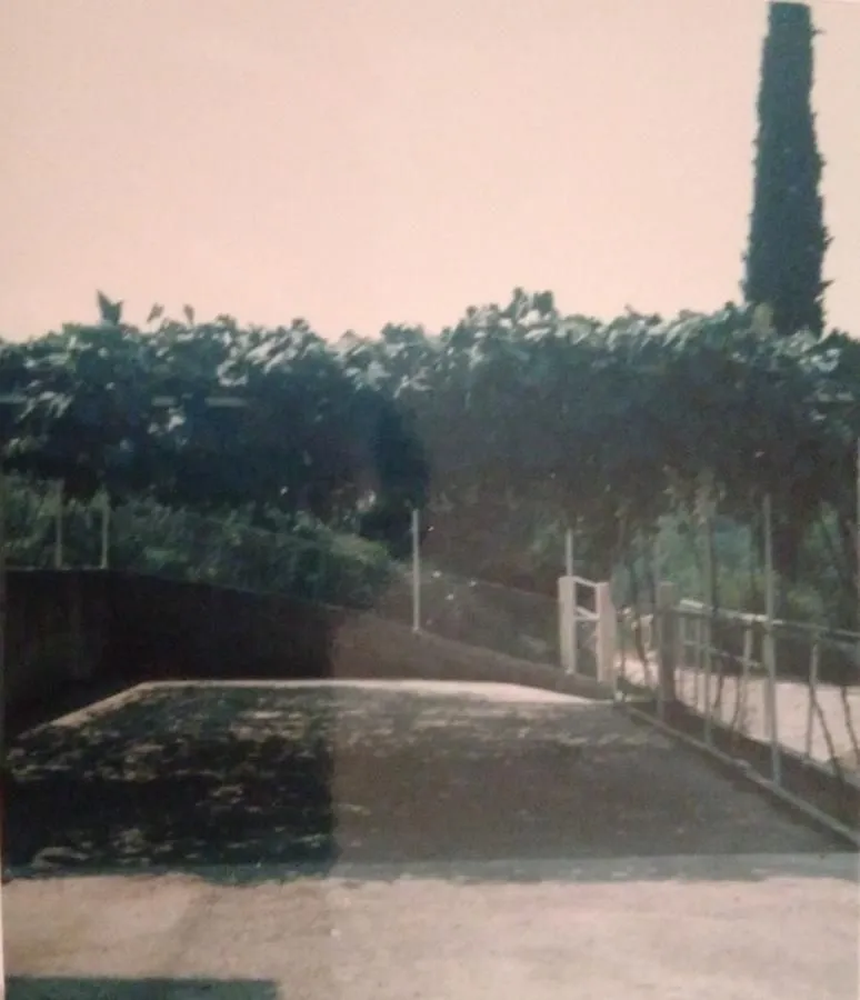 Prodaja, plac, 1200m², Herceg Novi, Crna Gora