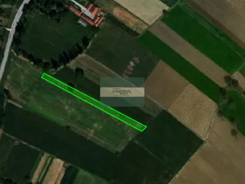 Prodaja, plac, 16009m², Dragocvet, Jagodina - image 8