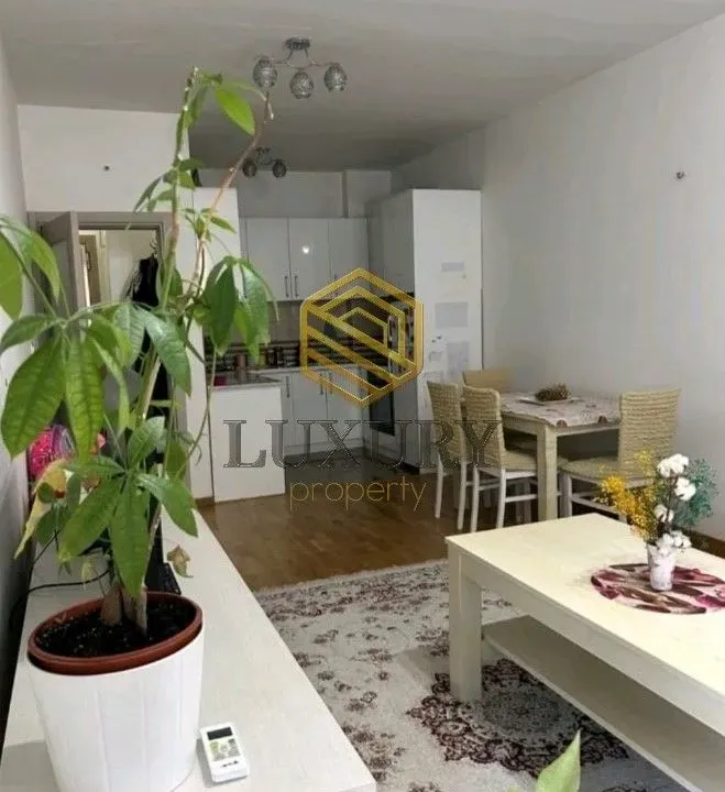 Rent, one bedroom apartment, 48m², Stari Aerodrom, Podgorica