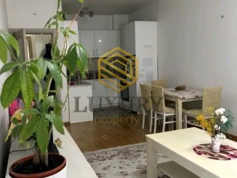 Rent, one bedroom apartment, 48m², Stari Aerodrom, Podgorica - image 1