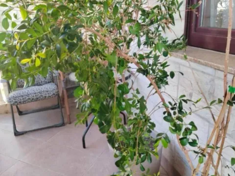 Sale, one bedroom apartment, 68m², Bečići, Budva - image 3