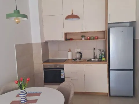 Rent, one bedroom apartment, 45m², Stari Aerodrom, Podgorica - image 2