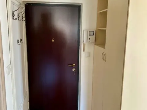 Izdavanje, jednosoban stan, 56m², Obala Morače, Podgorica - image 11