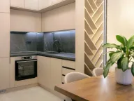 Izdavanje, jednosoban stan, 47m², Stari Aerodrom, Podgorica - image 11