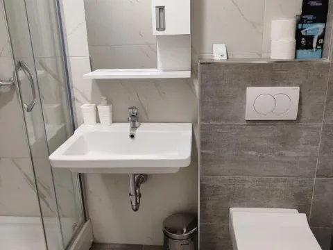 Izdavanje, dvosoban stan, 45m², Bogoslovija, Palilula Sve Podlokacije - image 5