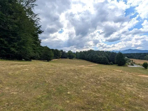 Sale, land lot, 704m², Žabljak, Crna Gora - image 7