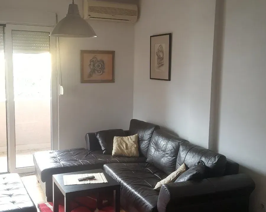 Rent, one bedroom apartment, 53m², Pobrežje, Podgorica