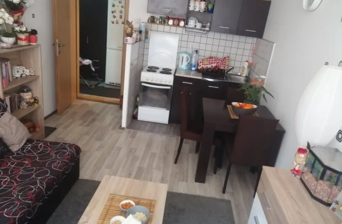 Izdavanje, dvosoban stan, 40m², Palilula, Niš