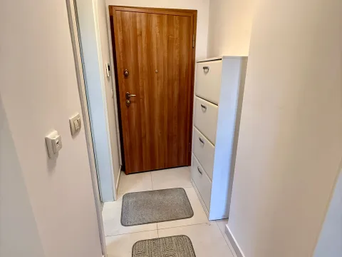 Izdavanje, garsonjera, 30m², Centar, Podgorica - image 8