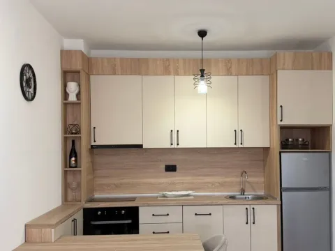 Rent, one bedroom apartment, 39m², Zagorič, Podgorica - image 4