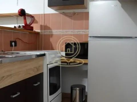 Izdavanje, jednosoban stan, 33m², Vračar Hram, Vračar Sve Podlokacije - image 8