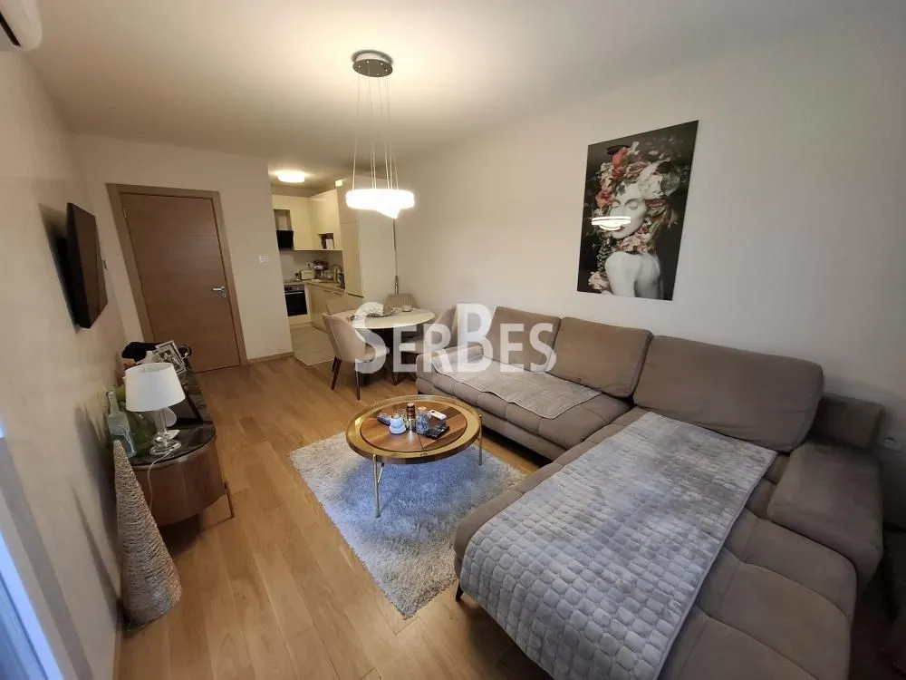 Izdavanje, dvosoban stan, 50m², Socijalno, Novi Sad Sve Podlokacije