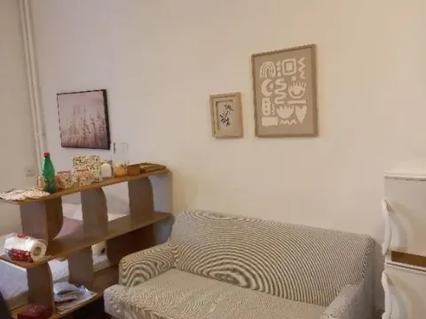 Rent, one bedroom apartment, 45m², Bulbulder, Zvezdara Sve Podlokacije - image 3