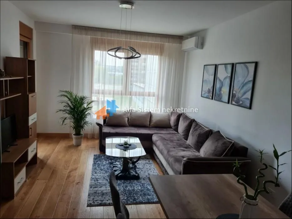 Izdavanje, dvosoban stan, 56m², Novi Beograd Blok 65, Novi Beograd Sve Podlokacije
