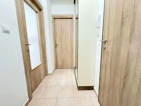 Izdavanje, jednosoban stan, 45m², Ljubović, Podgorica - image 3