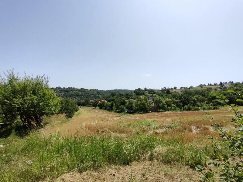 Prodaja, plac, 6000m², Paragovo, Petrovaradin