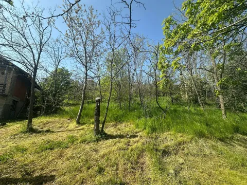Prodaja, plac, 300m², Vršac, Srbija - image 5