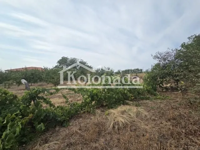 Sale, house, 50m², Sopot, Beograd