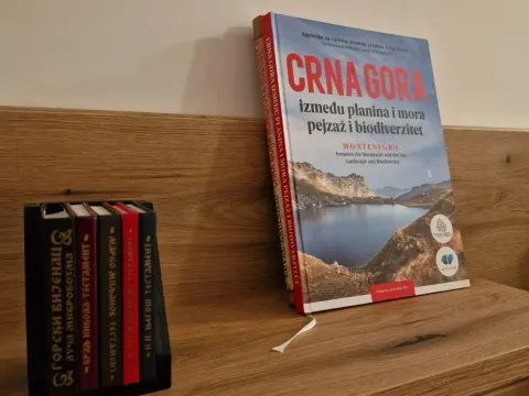 Sale, apartment, 27m², Budva, Crna Gora - image 19