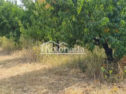 Prodaja, plac, 15800m², Mali Požarevac, Sopot - image 7