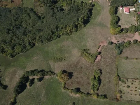 Prodaja, plac, 19450m², Danilovgrad, Crna Gora - image 4