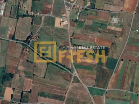 Sale, land lot, 4641m², Zeta, Podgorica - image 2