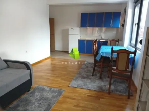 Izdavanje, jednosoban stan, 50m², Pantelej, Niš - image 2