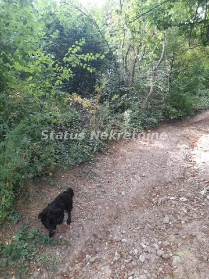 Sale, land lot, 700m², Sremski Karlovci, Novi Sad