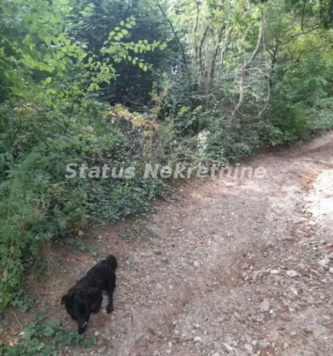 Sale, land lot, 700m², Sremski Karlovci, Novi Sad