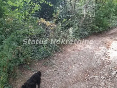 Sale, land lot, 7m², Sremski Karlovci, Novi Sad