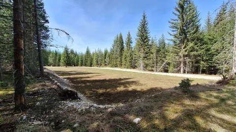 Prodaja, plac, 6750m², Podgora, Žabljak - image 5