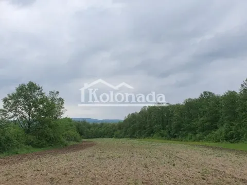 Prodaja, plac, 17100m², Sopot, Beograd - image 4