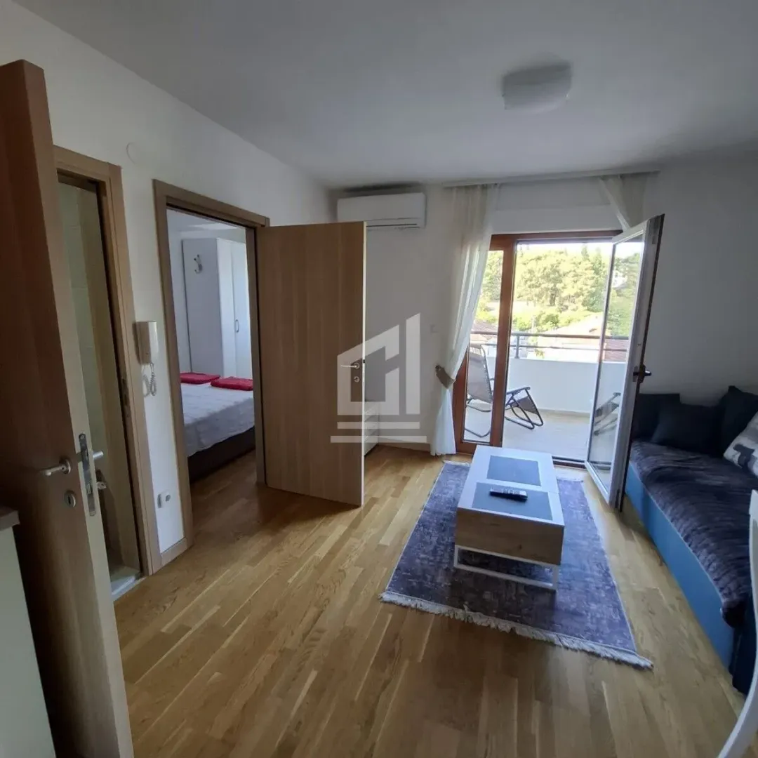 Rent, one bedroom apartment, 34m², Centar, Podgorica