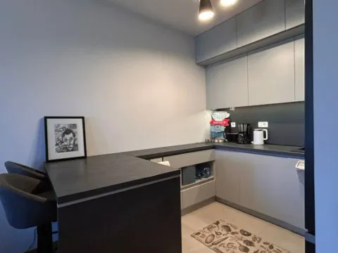 Izdavanje, jednosoban stan, 47m², New City, Podgorica - image 4