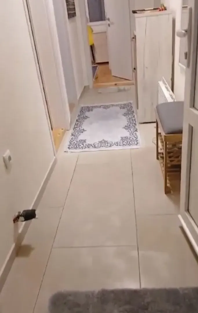 Sale, two bedroom apartment, 43m², Smailagića Polje, Kolašin