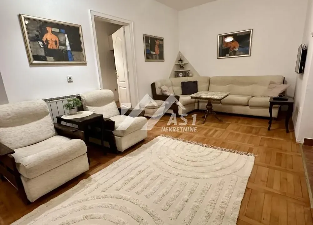 Izdavanje, dvosoban stan, 50m², Centar, Novi Sad