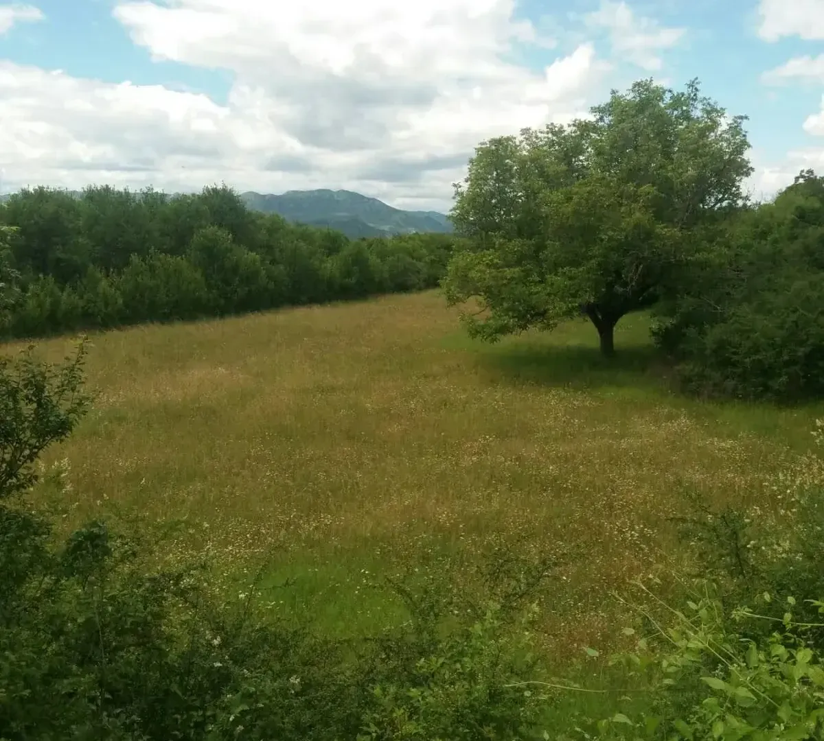 Sale, land lot, 120m², Nikšić, Crna Gora