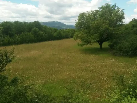 Prodaja, plac, 120m², Nikšić, Crna Gora - image 2