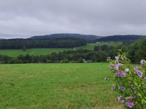 Prodaja, kuća, 134m², Borča 1, Borča Sve Podlokacije - image 4