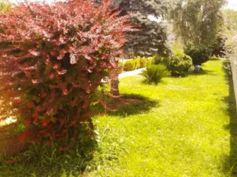 Izdavanje, poslovni prostor, 250m², Donja Gorica, Podgorica - image 2