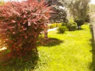 Rent, office space, 250m², Donja Gorica, Podgorica - image 2