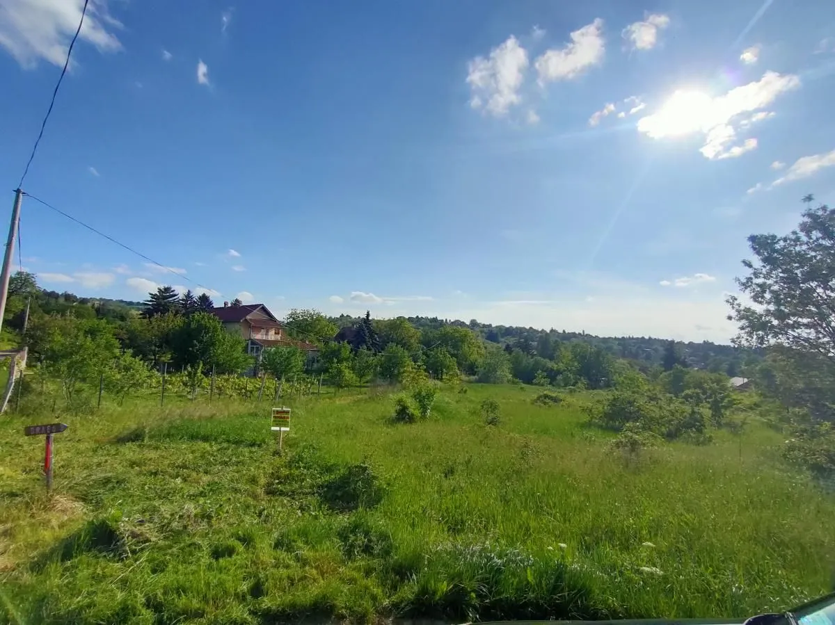 Prodaja, plac, 5000m², Ledinci, Petrovaradin