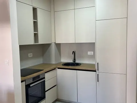 Izdavanje, jednosoban stan, 41m², Central Point, Podgorica - image 4