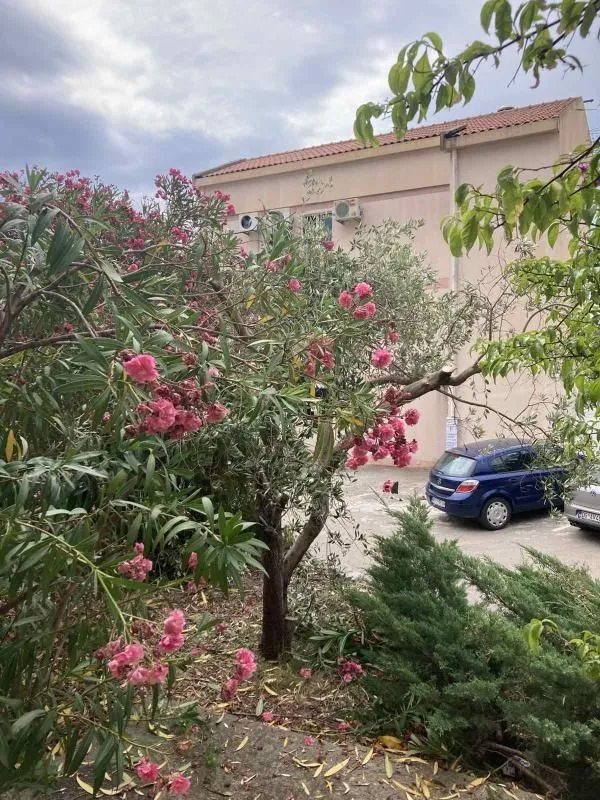 Prodaja, jednosoban stan, 49m², Petrovac, Budva