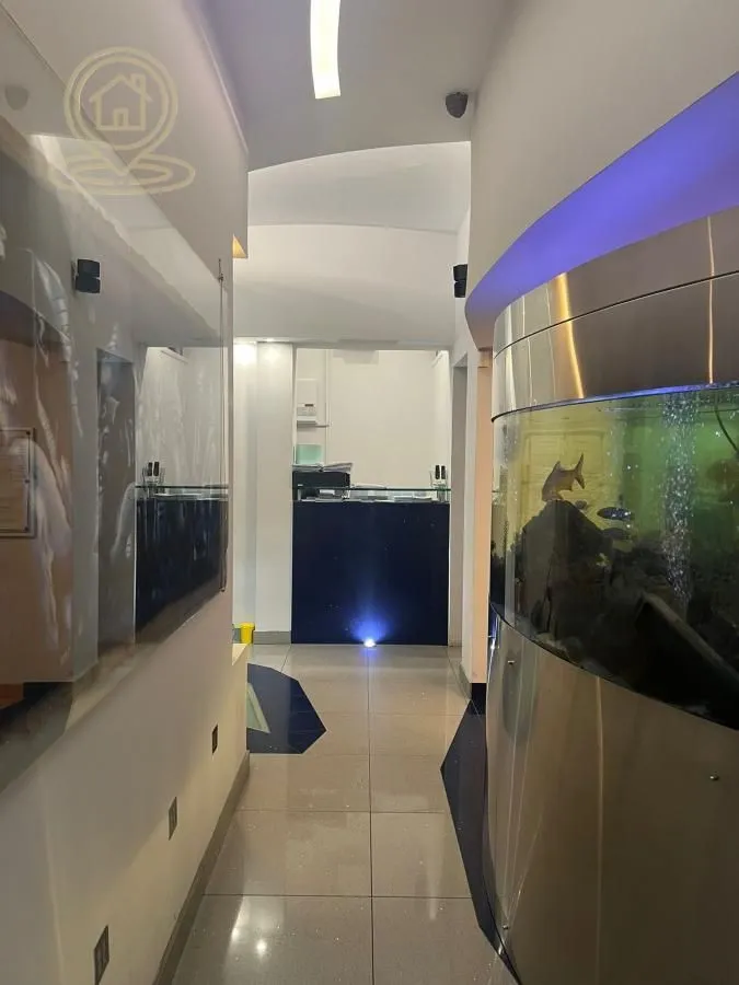 Rent, office space, 70m², Rotkvarija, Novi Sad Sve Podlokacije