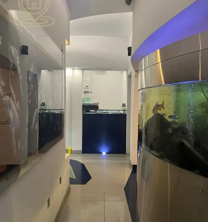 Rent, office space, 70m², Rotkvarija, Novi Sad Sve Podlokacije