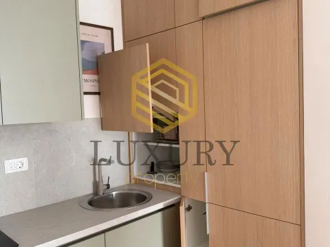 Rent, one bedroom apartment, 40m², Pobrežje, Podgorica - image 3