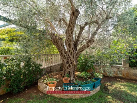 Prodaja, kuća, 971m², Petrovac, Budva - image 77