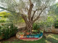 Prodaja, kuća, 971m², Petrovac, Budva - image 77