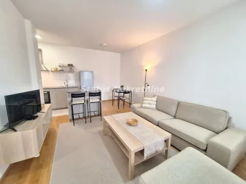 Izdavanje, dvosoban stan, 46m², Centar, Novi Sad - image 2